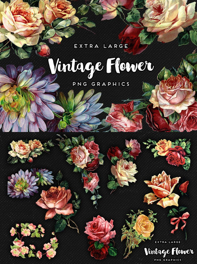 经典花卉图案插画1 Large Vintage Flower Graphics No. 1