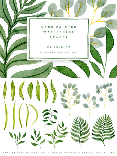 水彩叶子插画 Watercolor Foliage set