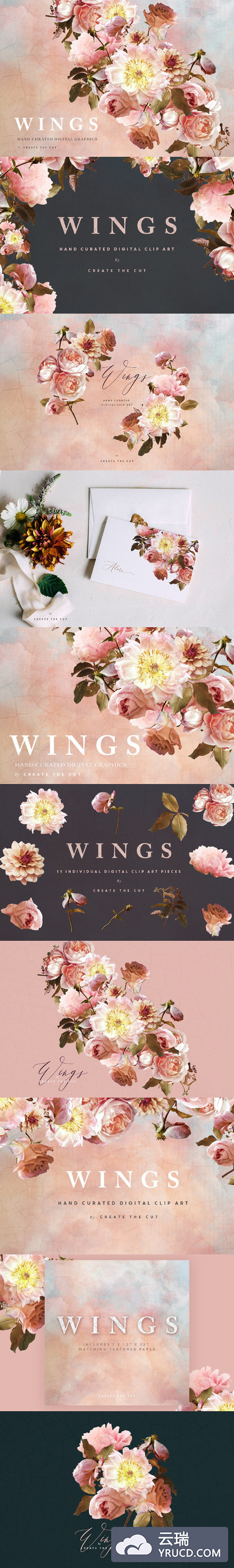 数码花卉艺术插画 Digital Flower Clip Art - Wings