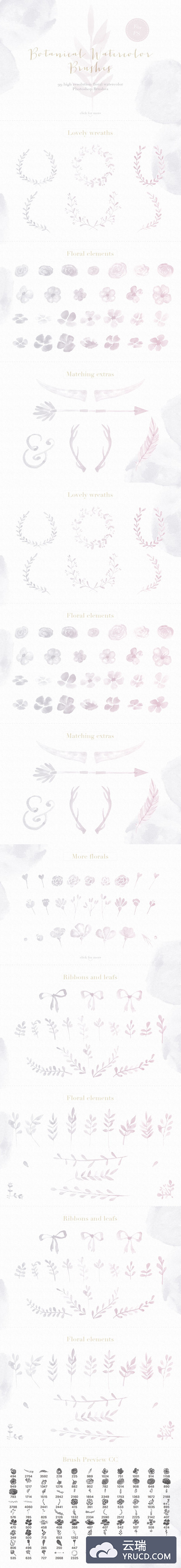 水彩花卉笔刷 Floral Watercolor Photoshop Brushes