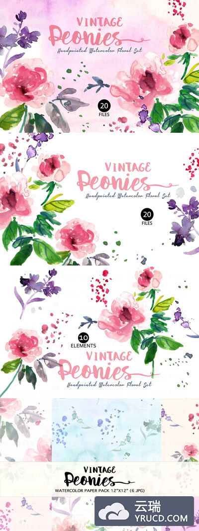 经典牡丹水彩插画 Vintage Peonies- Watercolor Clip Art