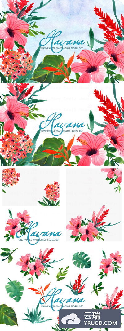 水彩花卉插画集 Havana- Watercolor Clip Art