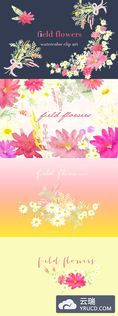 田野花卉水彩剪贴画 Field Flowers watercolor clip art