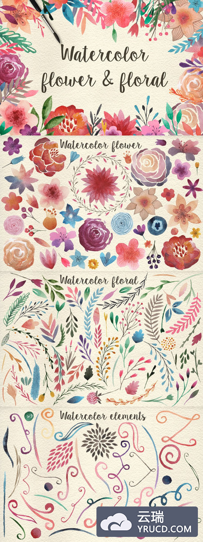 水彩花卉插画 159 Watercolor flowers & florals Pro