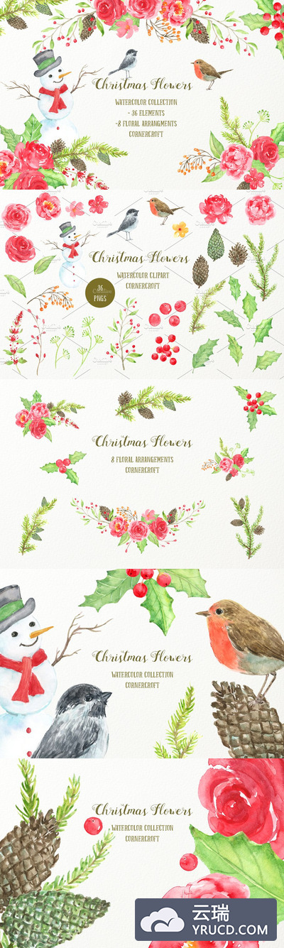 红色水彩圣诞节插画 Watercolor Red Christmas