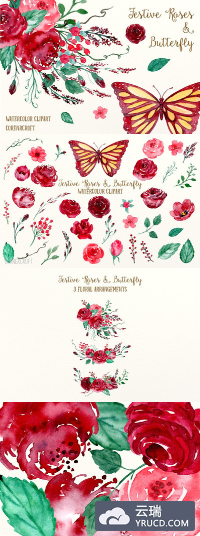 水彩玫瑰蝴蝶插画 Watercolor Festive Roses & Butterfly