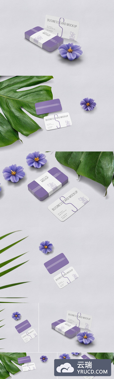 样机 | 洋芋紫色高级PSD逼真多变智能名片模型