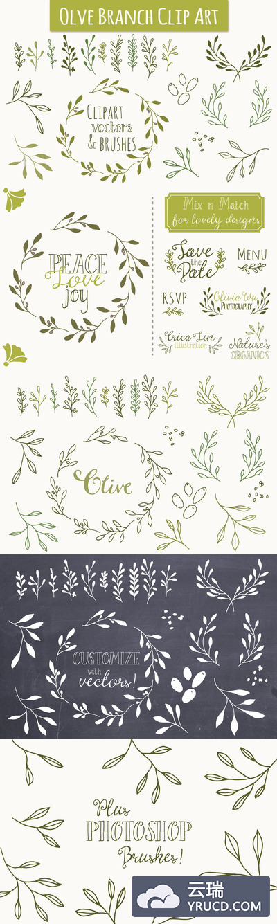 橄榄枝矢量剪贴画 Olive Branch Clip Art & Vectors