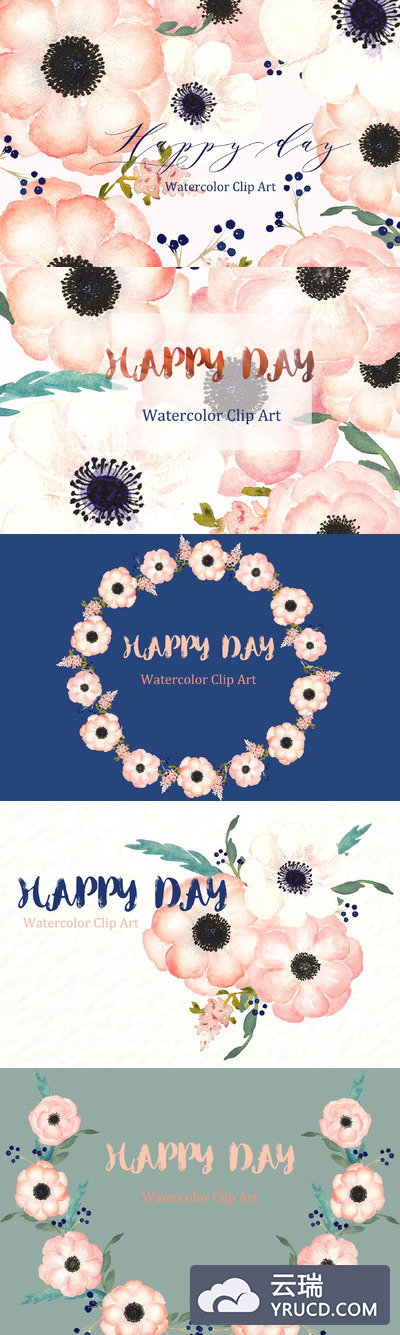 水彩花卉图形 Anemones Apricot. Watercolor flowers