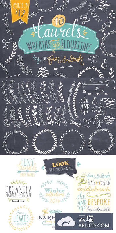 植物花卉枝叶图形 Laurels & Wreaths - Vector