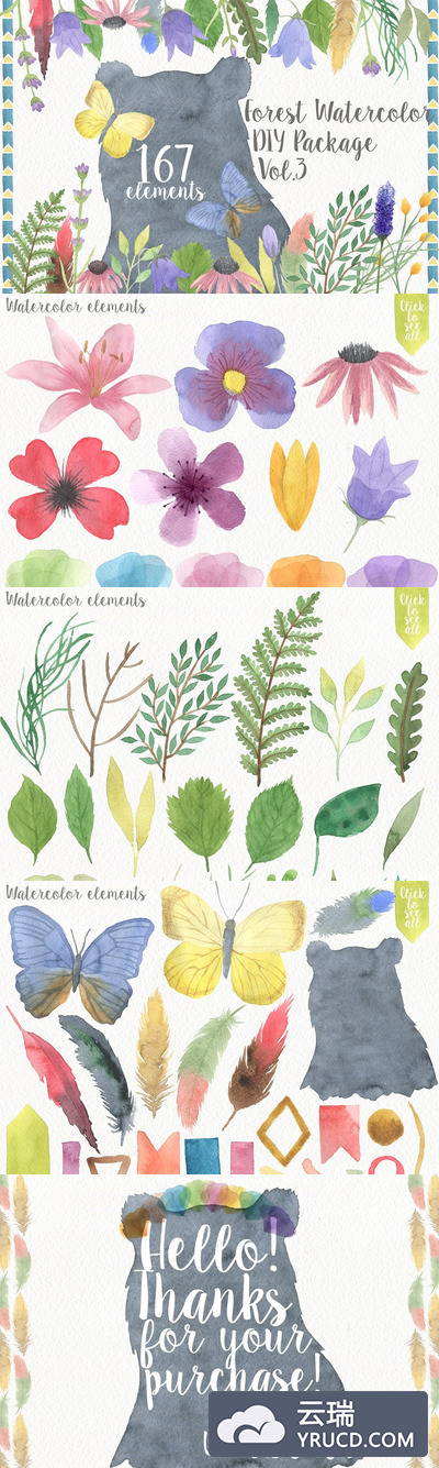 卡通森林动物插画 Forest Watercolor DIY Pro