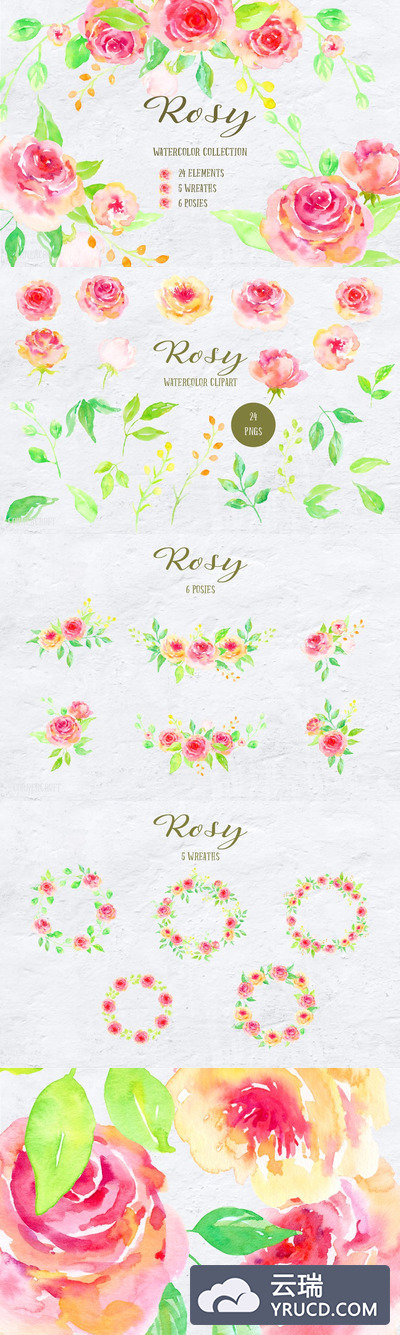 水彩玫瑰插画 Watercolor Design Kit Rosy