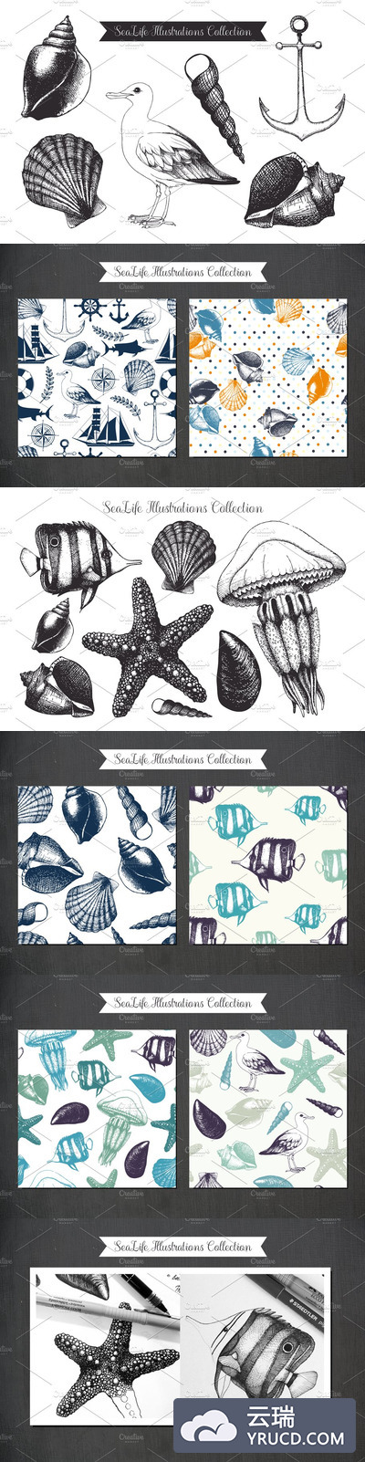 经典素描插画 Vintage Sea Designs & Patterns