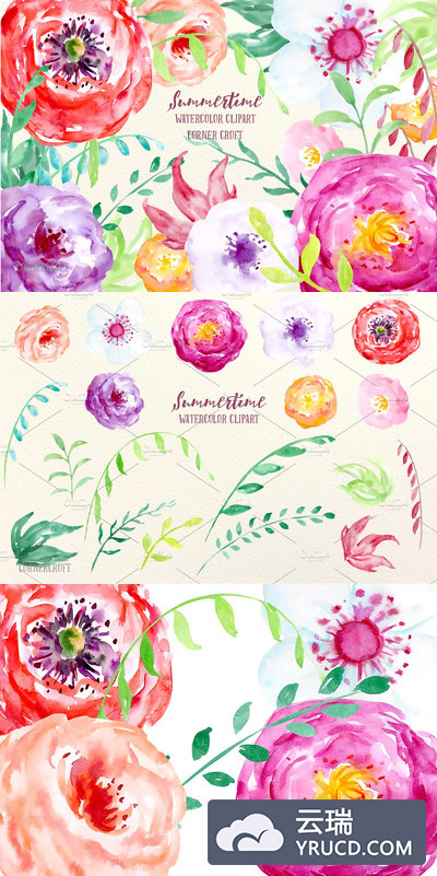 夏天水彩花卉插画 Watercolor Flowers Summertime