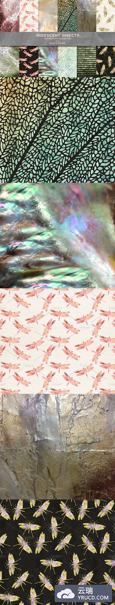 烫金昆虫背景纹理 Iridescent Insects & Backgrounds