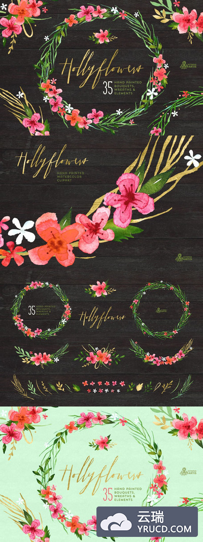 冬青节日花卉logo创意模板 Hollyflowers. Holiday floral set