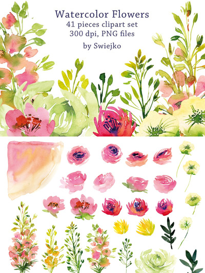 水彩花园花卉插画 Watercolor Garden Flowers