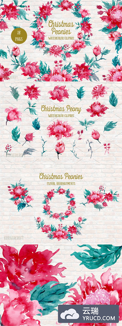 水彩圣诞牡丹插画 Watercolor Christmas Peonies