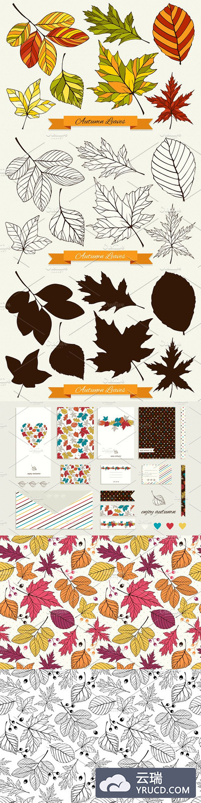 秋天叶子插画 Autumn Leaves Collection