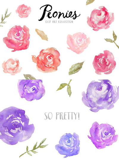 水彩牡丹剪贴画 Watercolor Peonies Clip Art