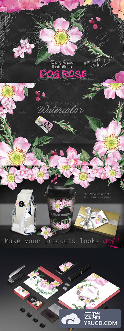 高雅水彩插画 Dog-rose