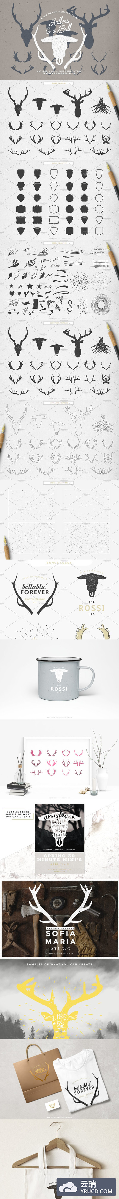 公牛矢量logo设计 Antlers & a Bull Vector Graphics