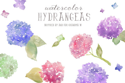 水彩八仙花剪贴画 Watercolor Clip Art- Hydrangeas