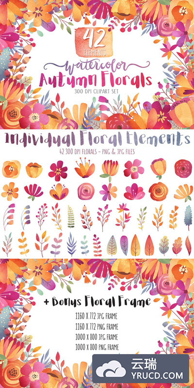 水彩秋季花卉剪贴画 Watercolor Autumn Florals Clipart