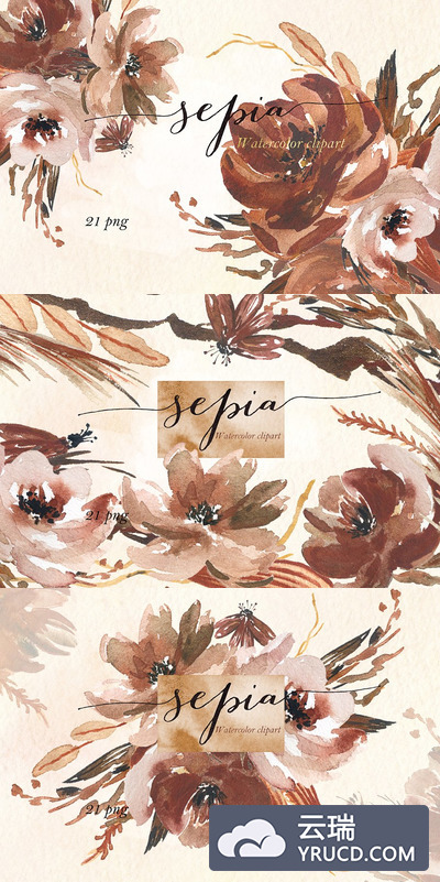 水彩花卉插画 Sepia flowers. Watercolor clipart