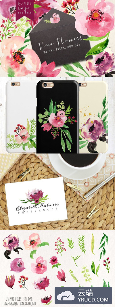 手绘水彩花卉插画 Vine Flowers