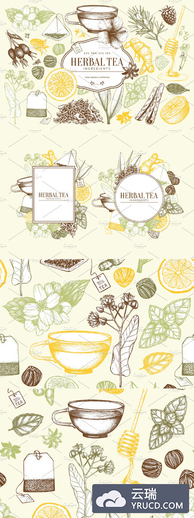矢量草本插画集 Vector Herbal Tea Ingredients Set