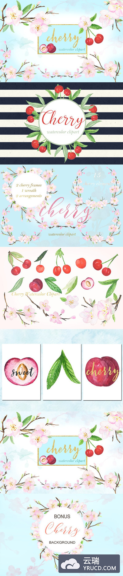 水彩樱桃花卉插画 Cherry flowers. Waterolor clipart.