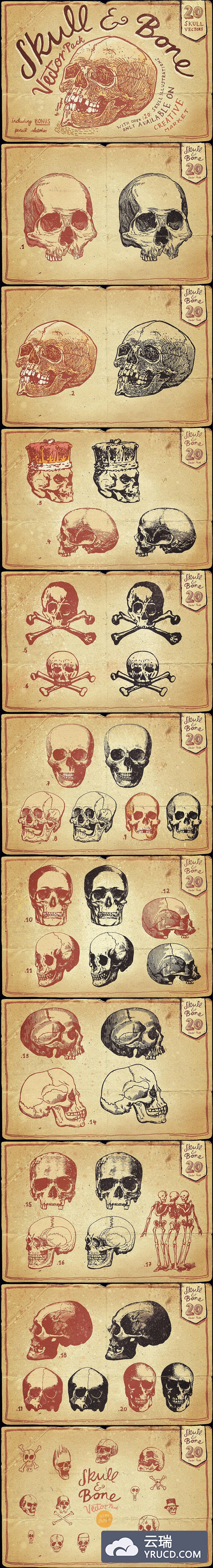 经典头骨矢量插画 Vintage Skull and Bone Vector pack