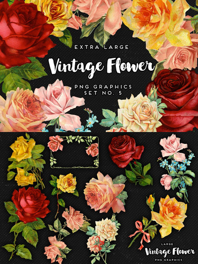 经典复古花卉图形 Large Vintage Flower Graphics No. 5