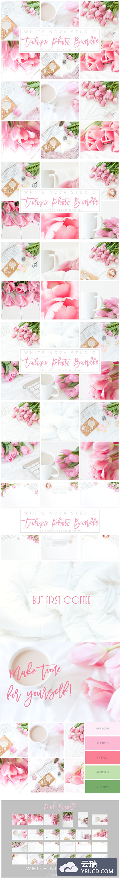 玫瑰花卉照片样机 Tulips Photo Bundle