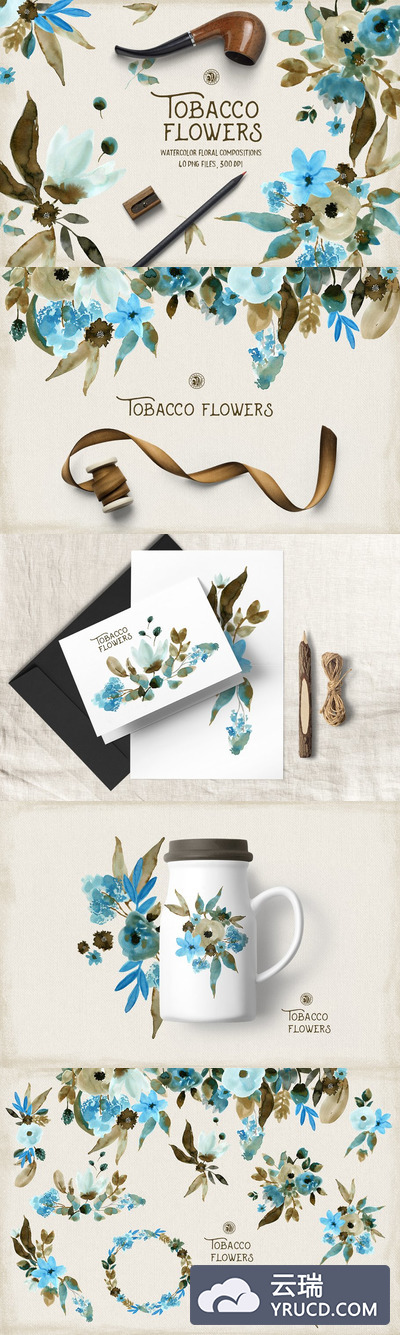 烟草花卉插画 Tobacco Flowers