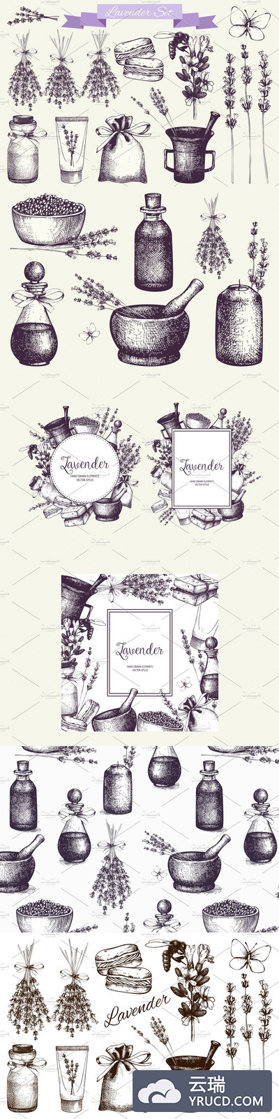 庄稼素材插画 Vector Lavender Designs Set