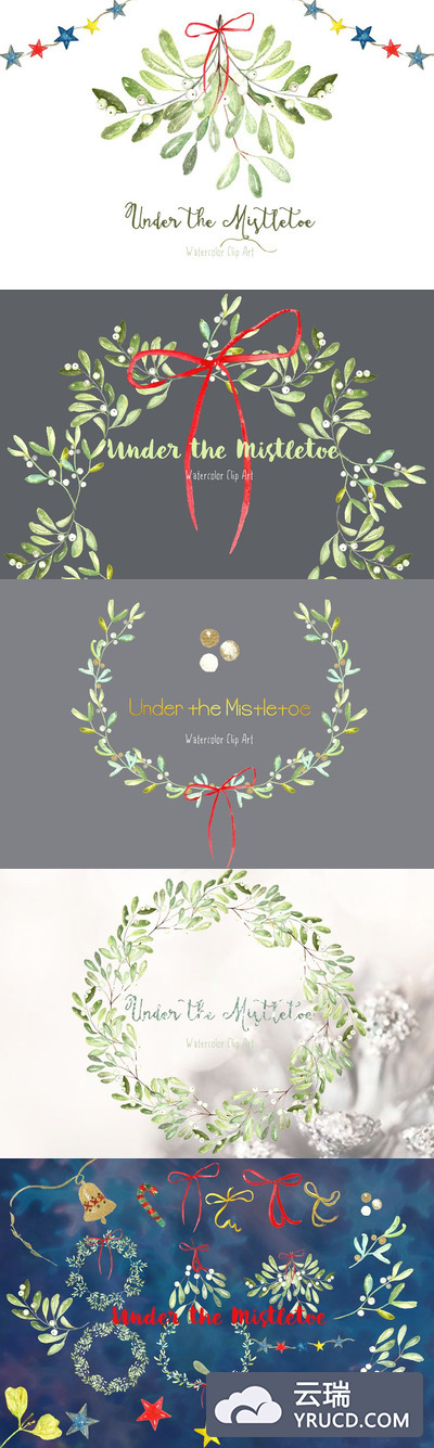 槲寄生高级水彩剪贴画 Mistletoe Premium Watercolor clipart