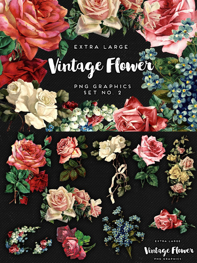 经典油画质感花卉图案 Large Vintage Flower Graphics No. 2