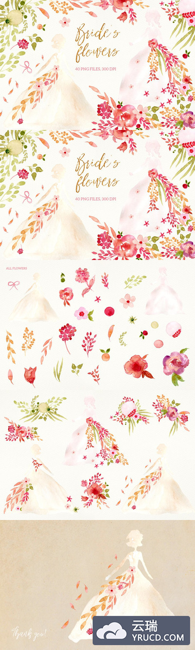 浪漫的新娘花卉插画 Bride's Flowers