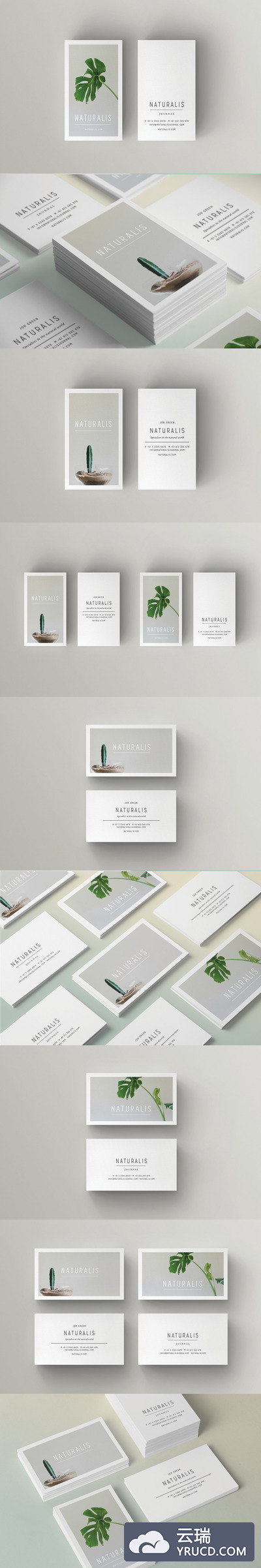 商业名片模板 NATURALIS Business Card Template