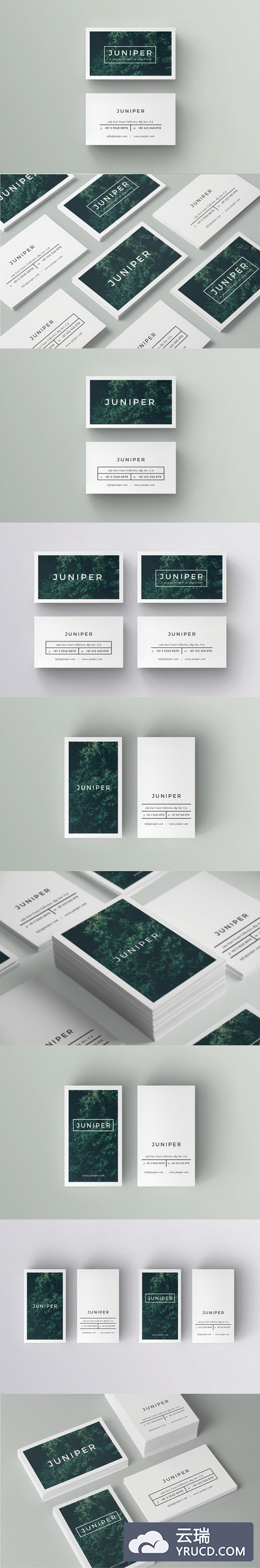 商业卡片名片模板  J U N I P E R Business Card Template
