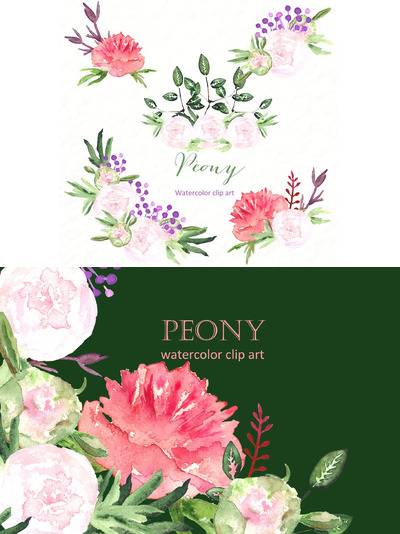水彩牡丹剪贴画集 Peony set watercolor clip art
