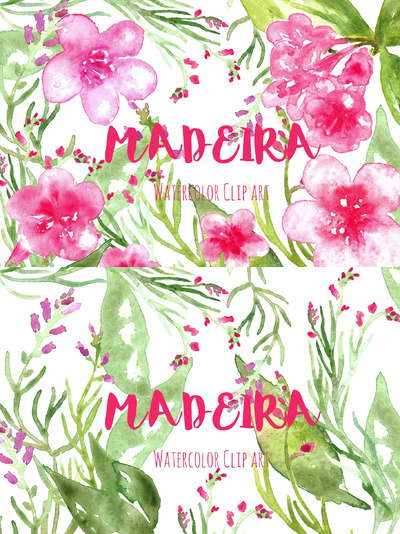 水彩花卉绘画素材 Madeira. Watercolor clipart.
