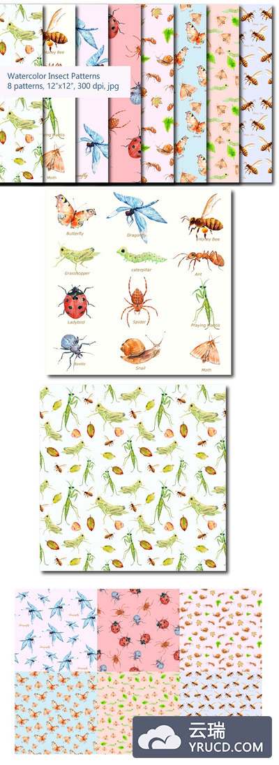 水彩昆虫图案背景纹理 Watercolor Insects Pattern