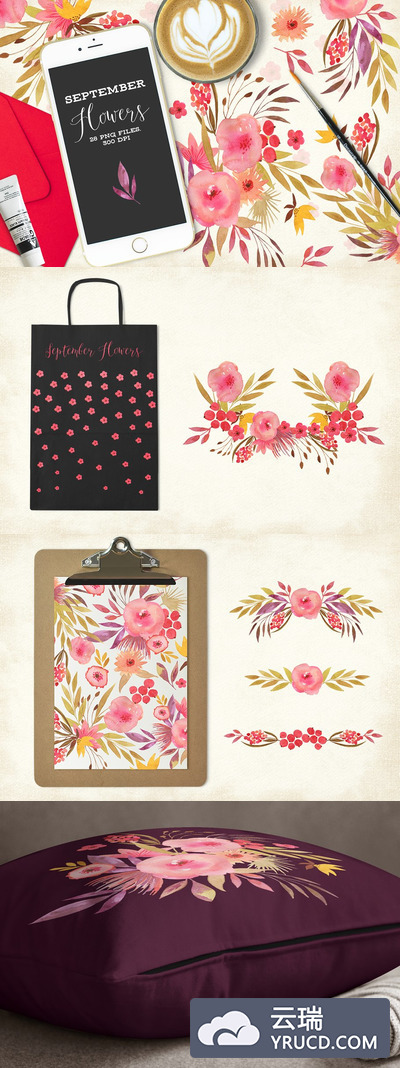 淡雅的秋季手绘插画 September Flowers