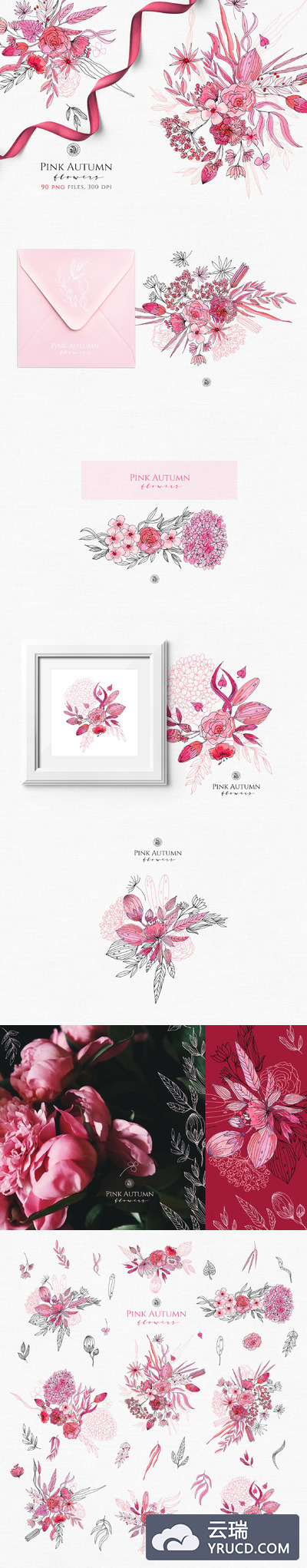 粉色秋天花卉插画 Pink Autumn Flowers