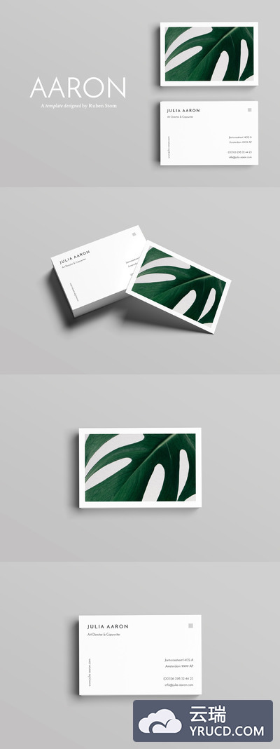 极简主义商业名片模板 Aaron Business Card Template