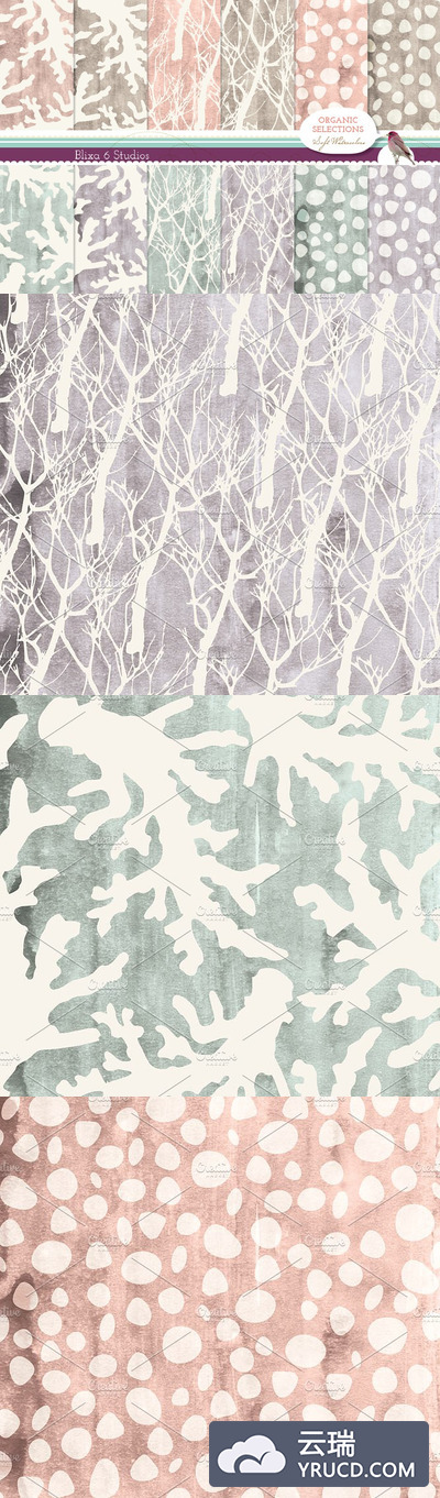 水彩有机物背景纹理 Organic Objects & Watercolor Texture