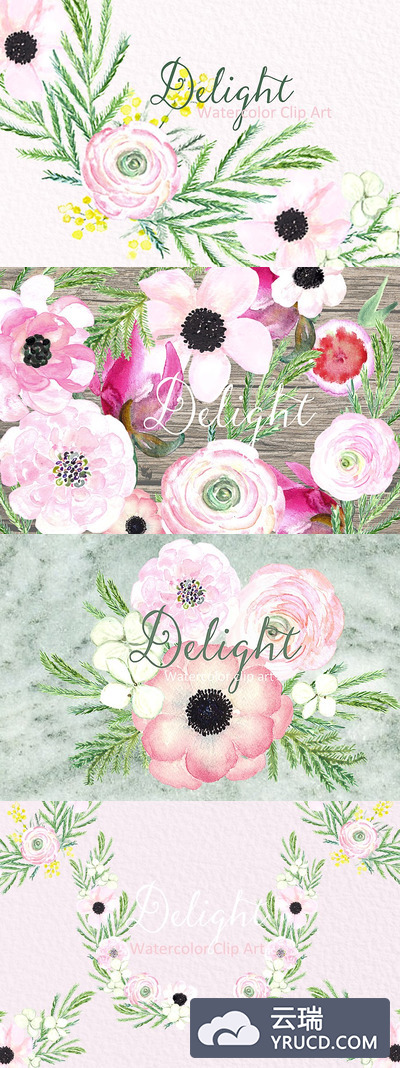 水彩春天花卉插画 Spring flowers Delight. Watercolor